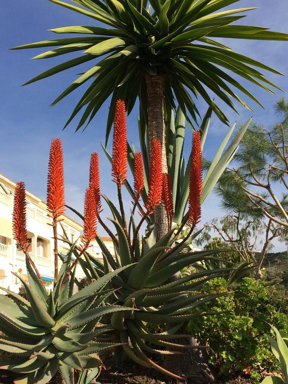 Residentie Montesol Lejlighed Torrox Eksteriør billede